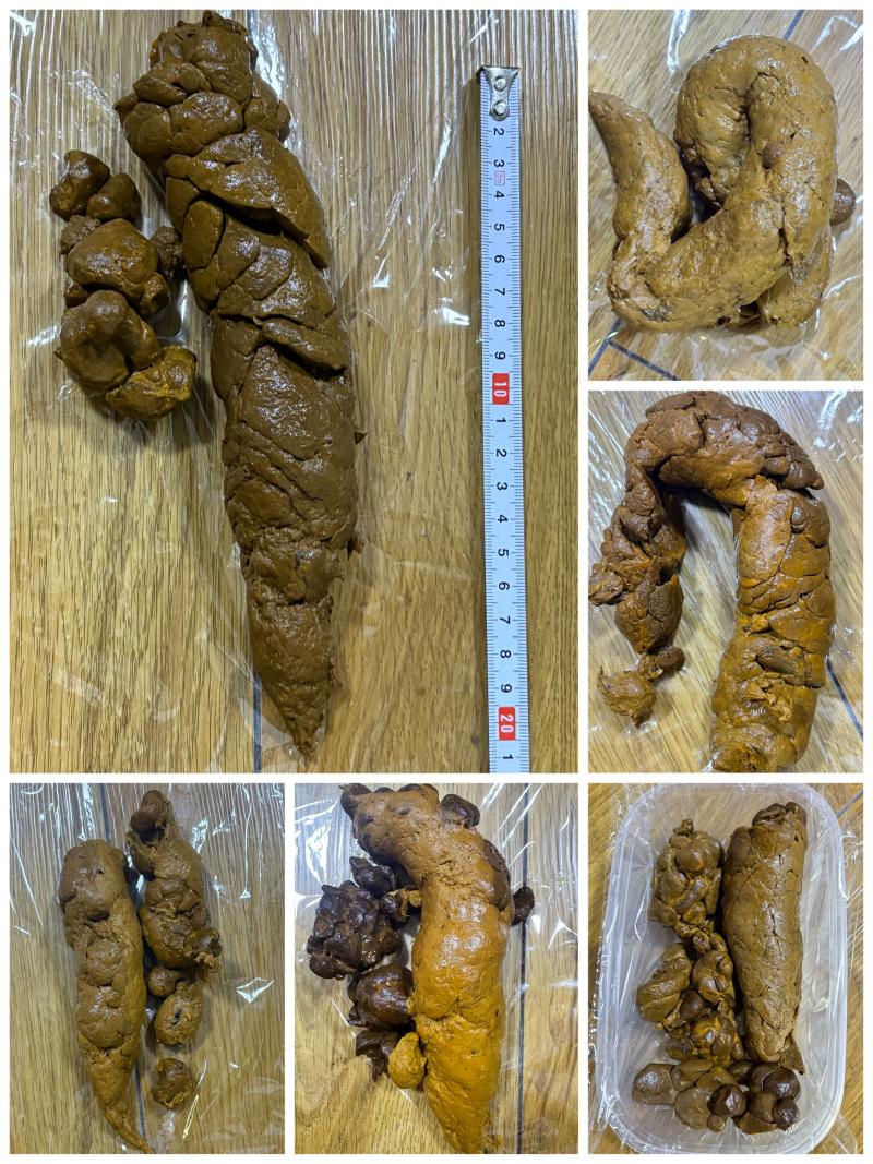 出品者名-写真-1