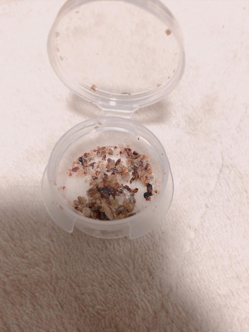 出品者名-写真-1