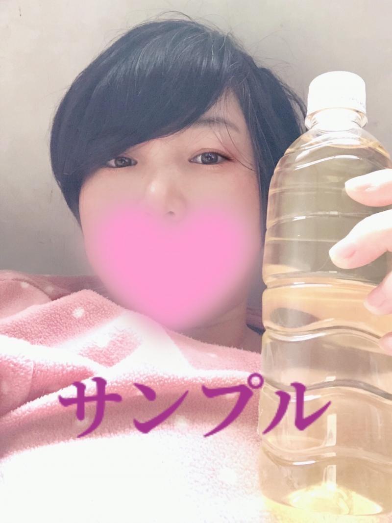 出品者名-写真-1