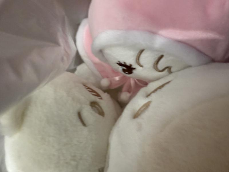 出品者名-写真-1