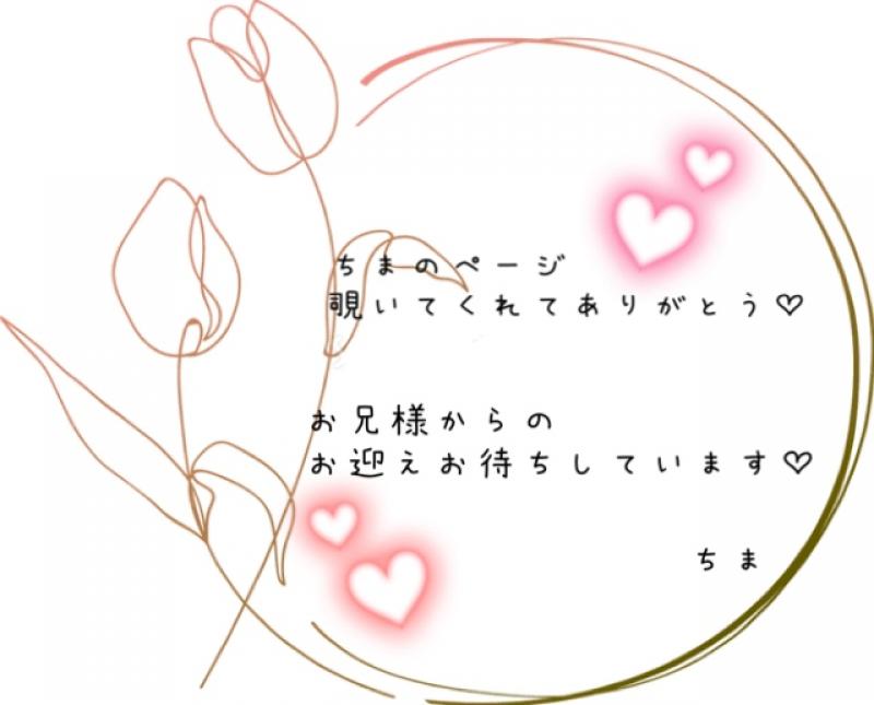 出品者名-写真-1