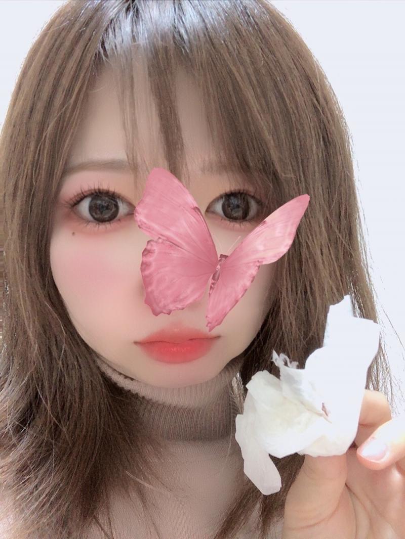 出品者名-写真-1