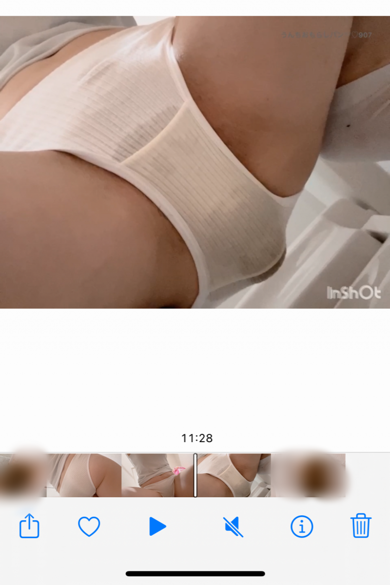 出品者名-写真