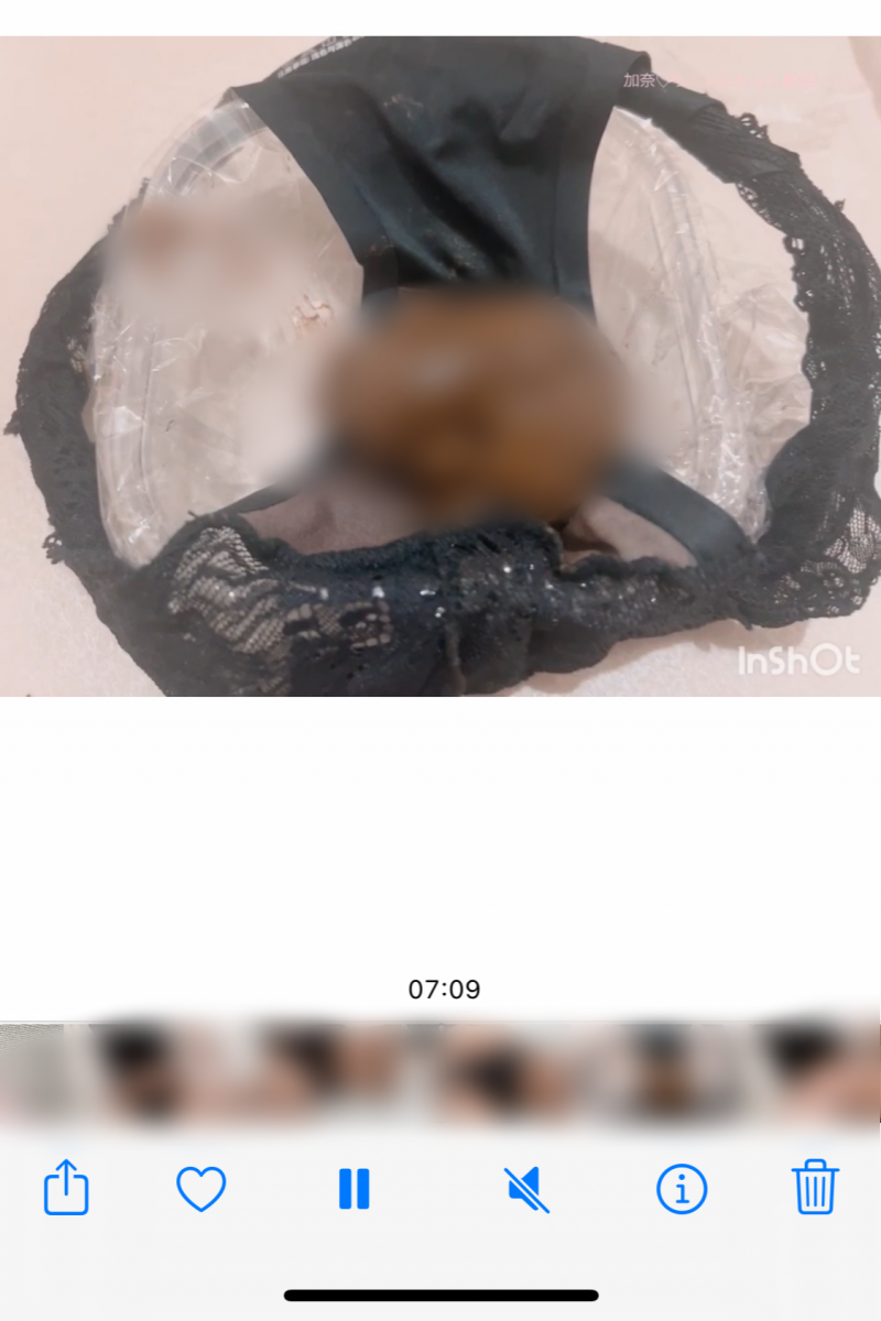 出品者名-写真-1