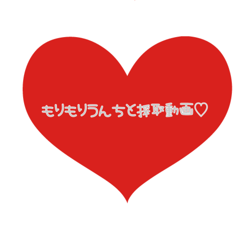 出品者名-写真-1