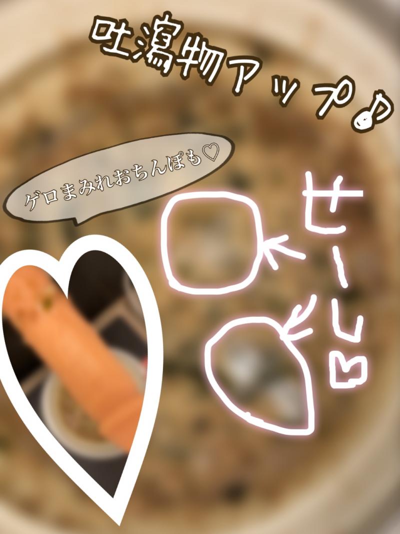 出品者名-写真-1