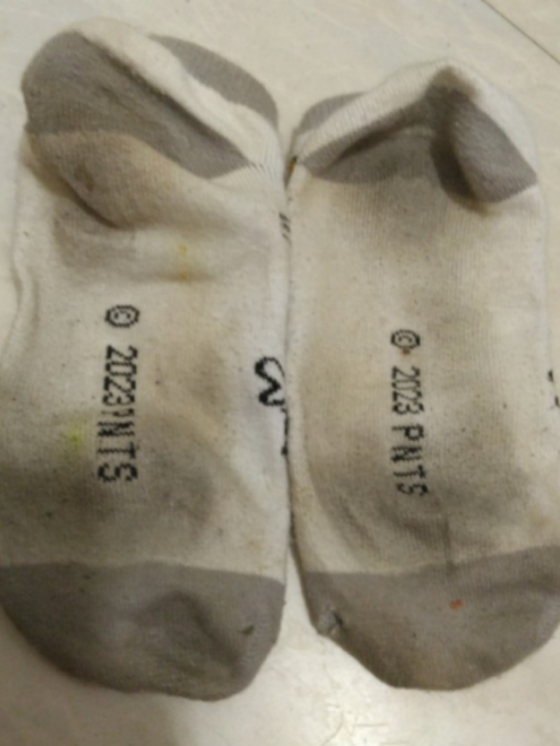 出品者名-写真-1