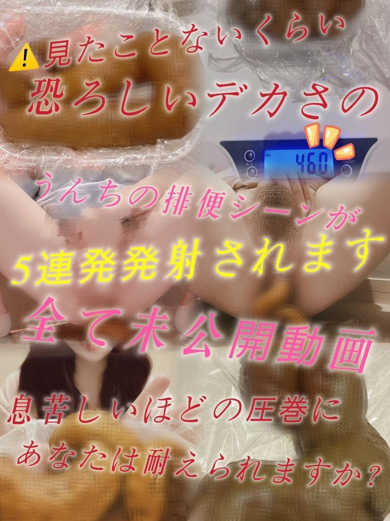 出品者名-写真-1