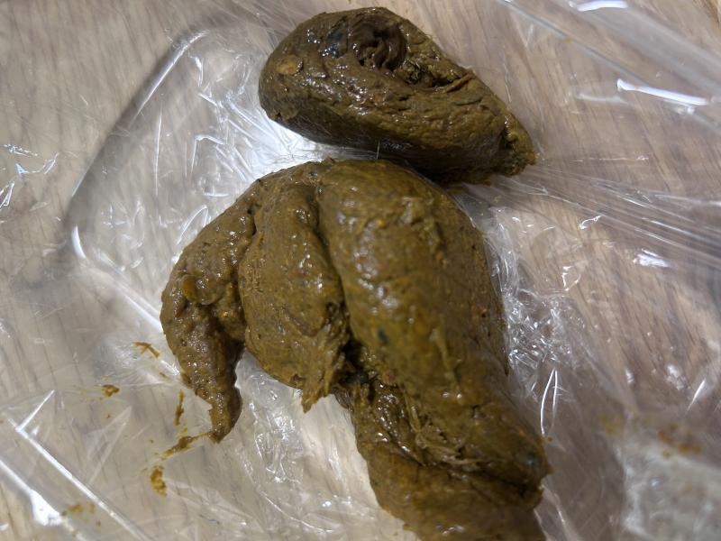 出品者名-写真-1