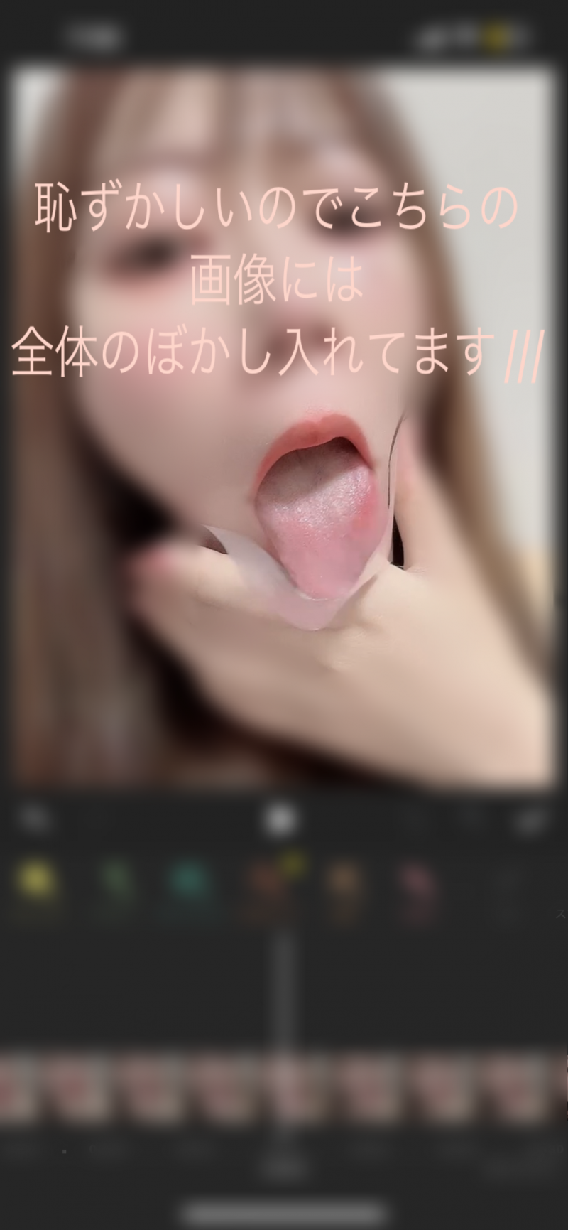 出品者名-写真-1