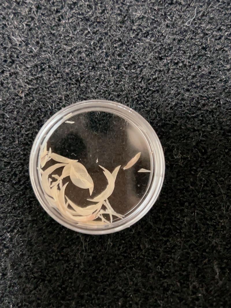 出品者名-写真-1