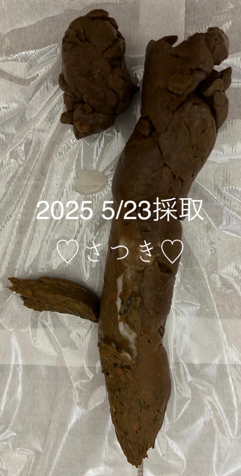 出品者名-写真-1