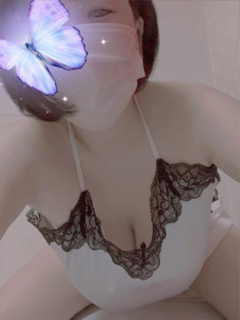 出品者名-写真-1