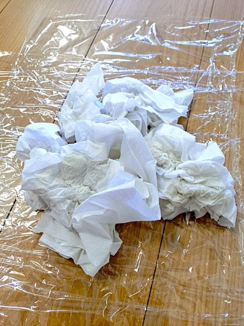 出品者名-写真-1