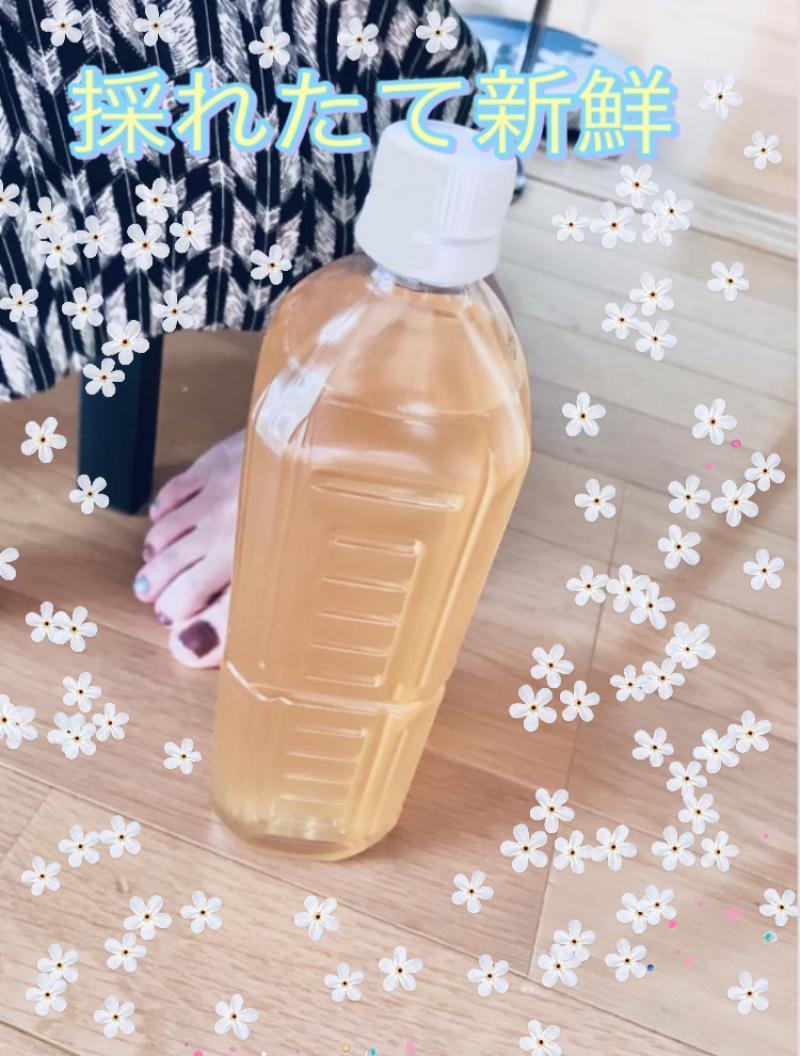 出品者名-写真-1