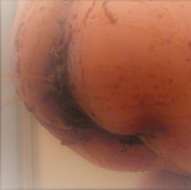 出品者名-写真-1