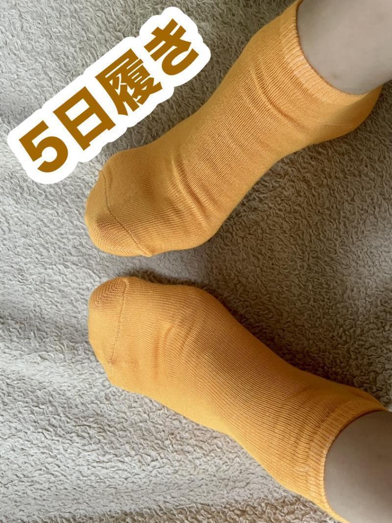 出品者名-写真