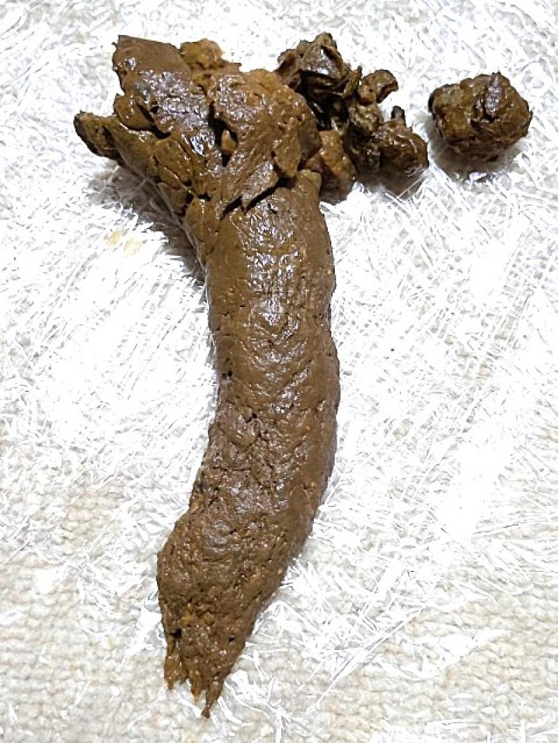 出品者名-写真-1