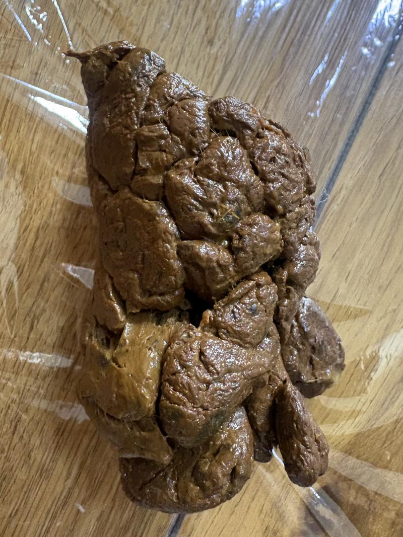 出品者名-写真-1