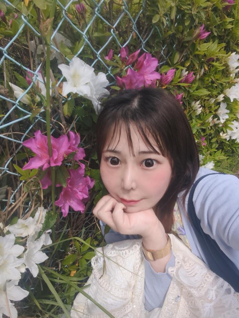 出品者名-写真