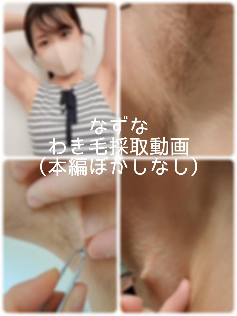 出品者名-写真