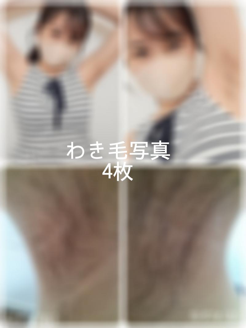 出品者名-写真-1