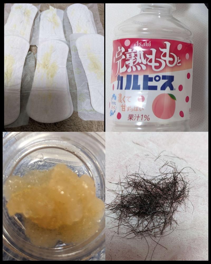 出品者名-写真-1
