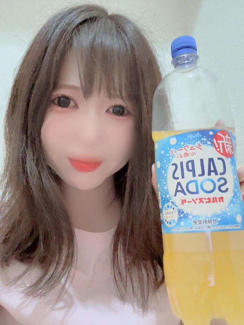 出品者名-写真