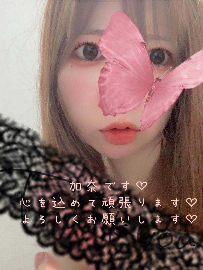出品者名-写真-1