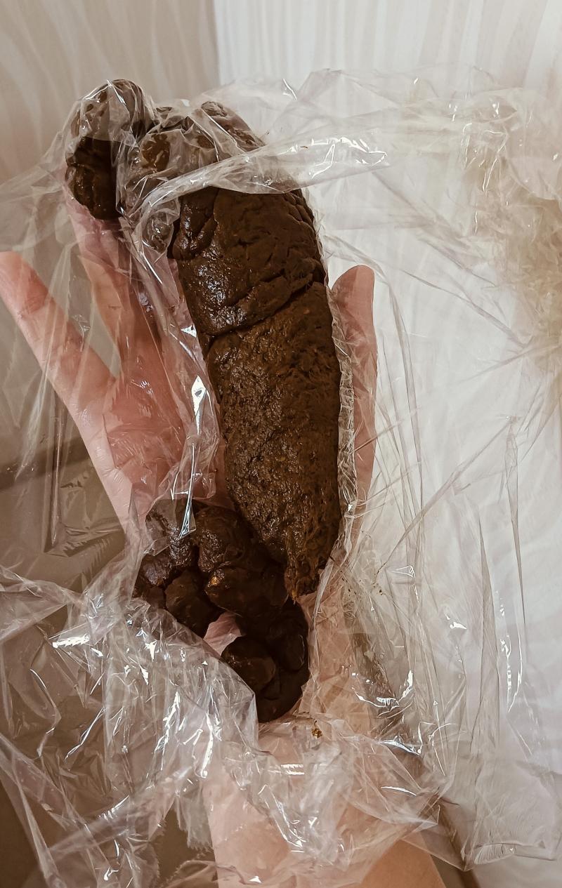 出品者名-写真-1