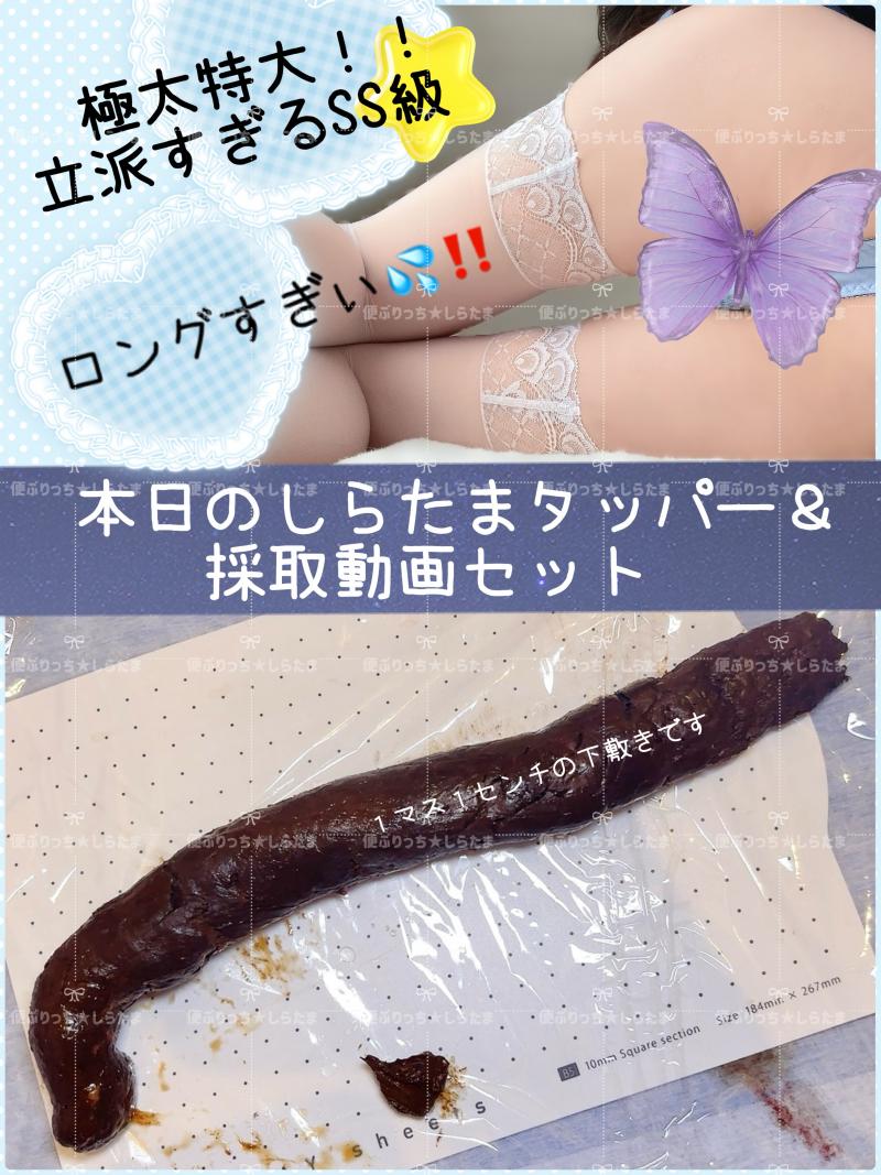 出品者名-写真