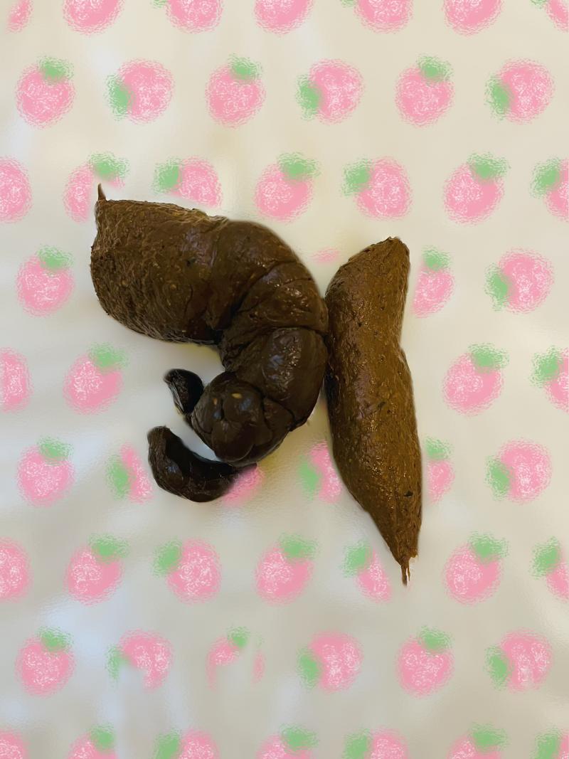 出品者名-写真-1