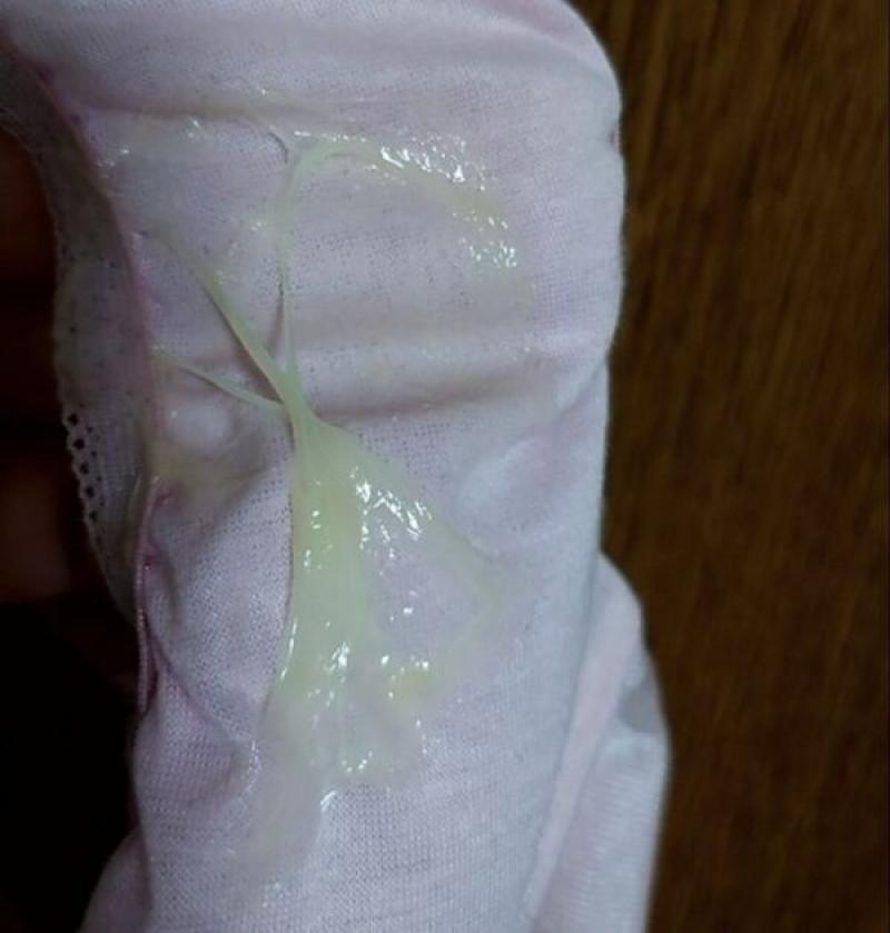 出品者名-写真-1