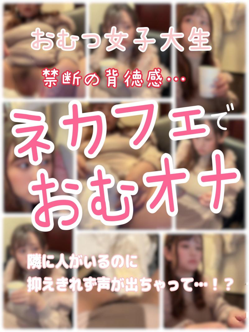 出品者名-写真