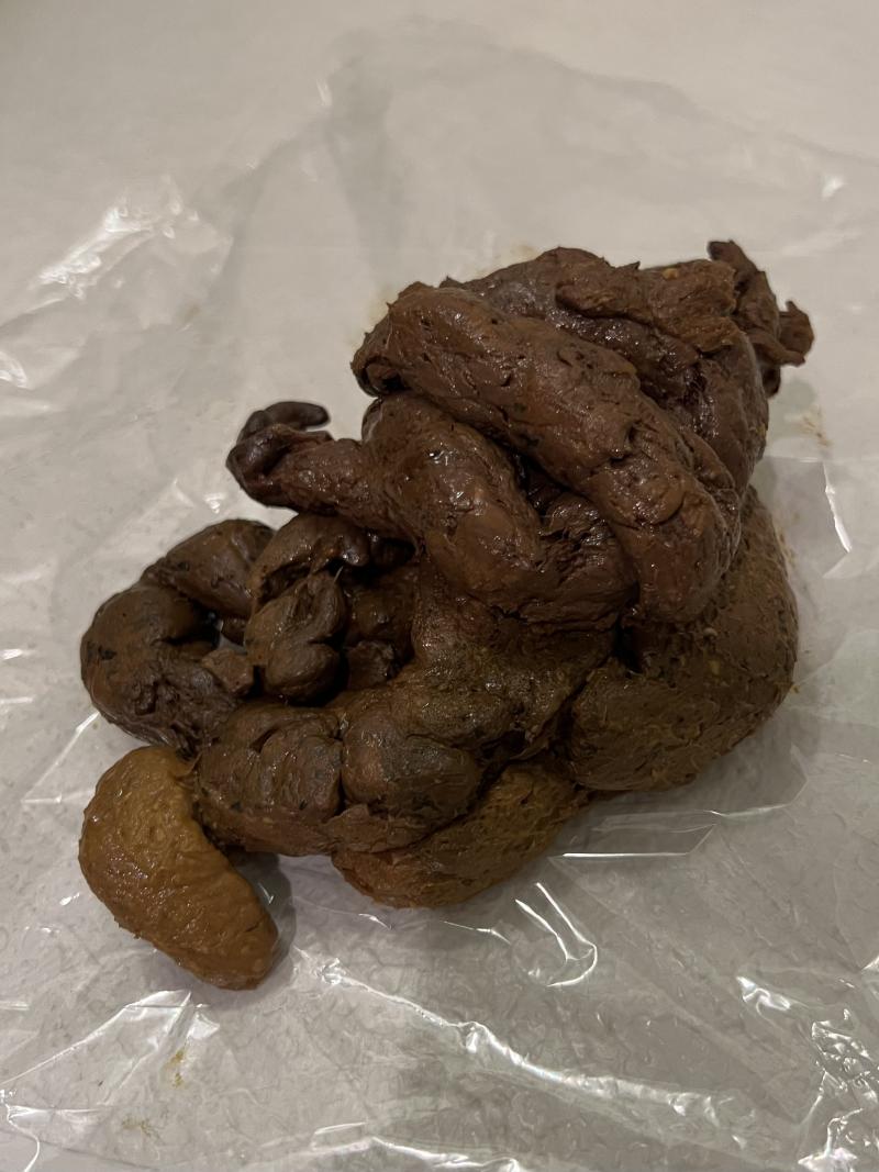 出品者名-写真-1
