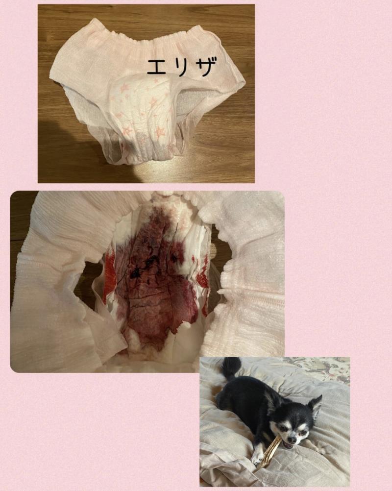 出品者名-写真