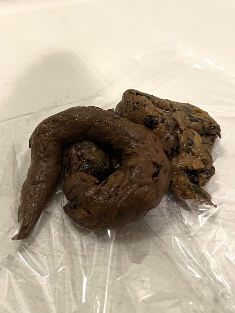 出品者名-写真-1