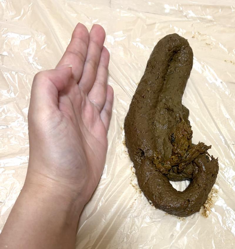 出品者名-写真-1