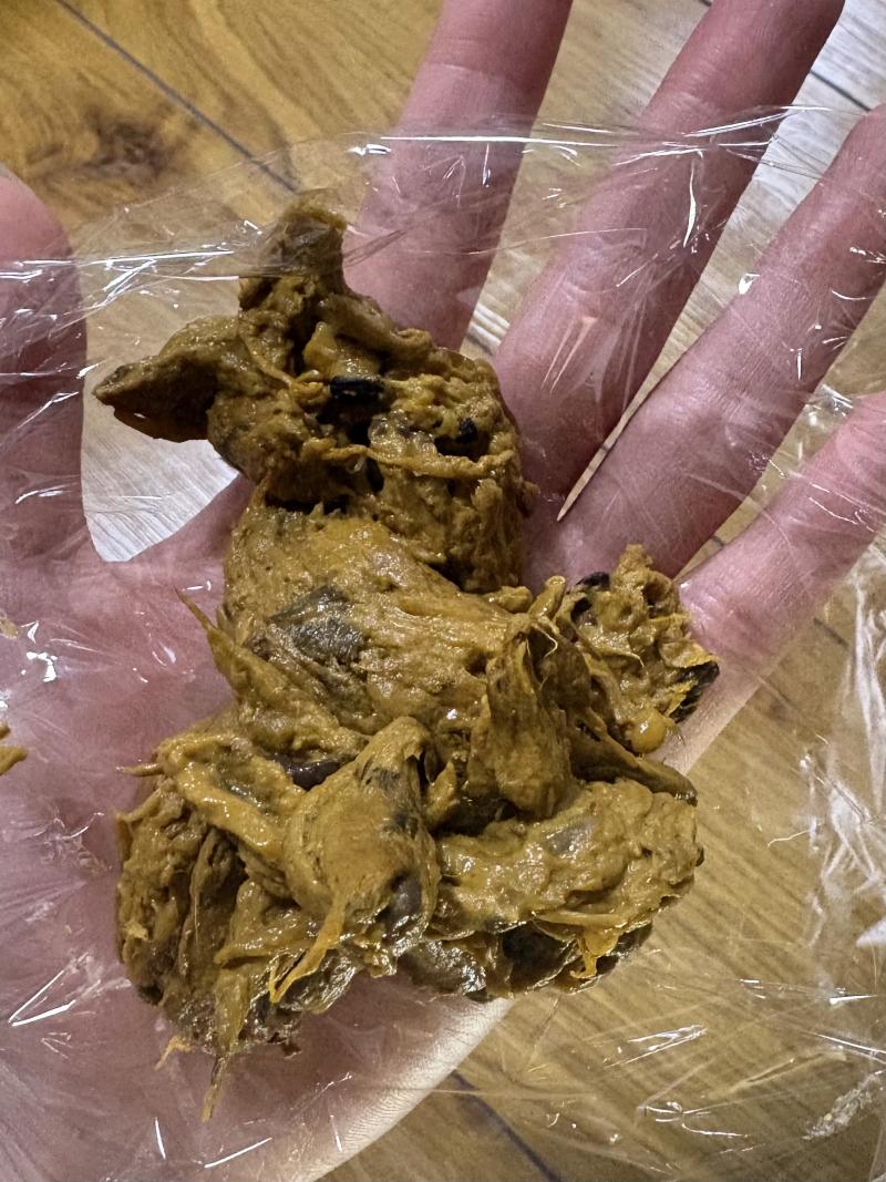 出品者名-写真-1