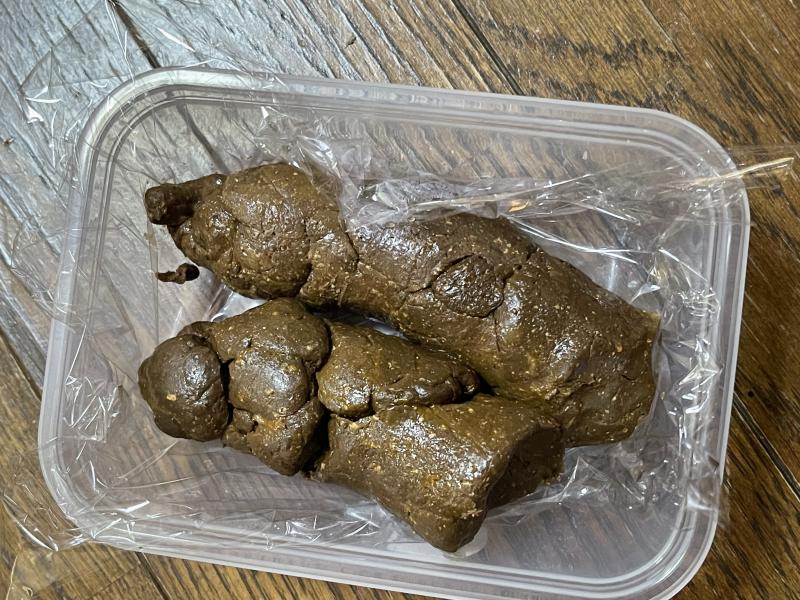 出品者名-写真-1