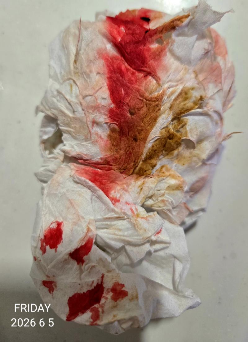 出品者名-写真