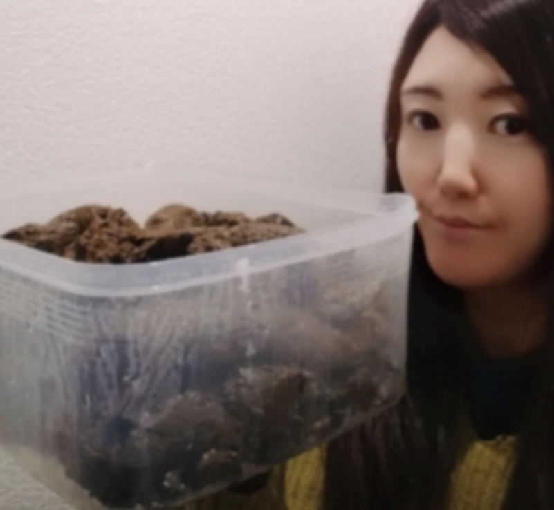 出品者名-写真-1