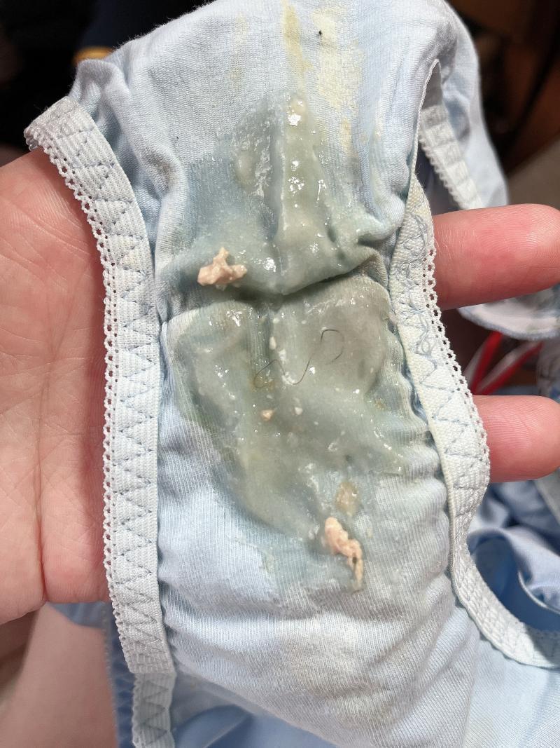 出品者名-写真-1