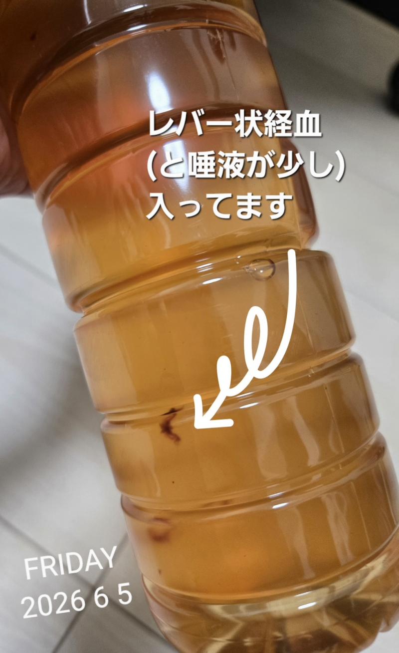 出品者名-写真-1