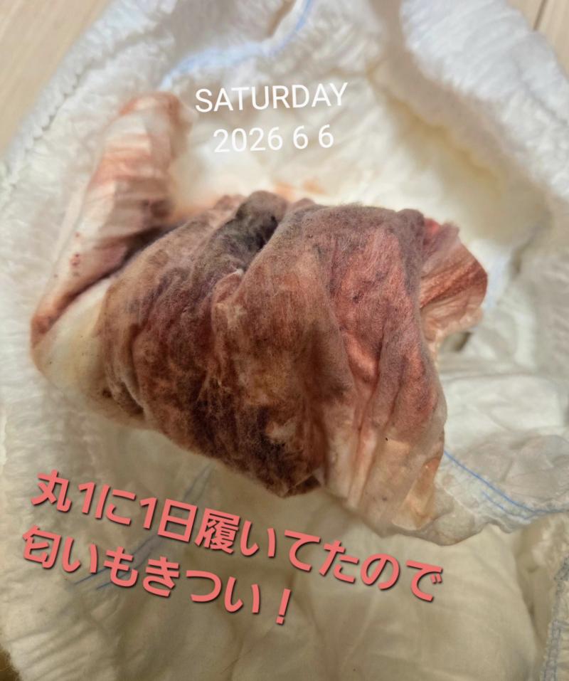 出品者名-写真-1