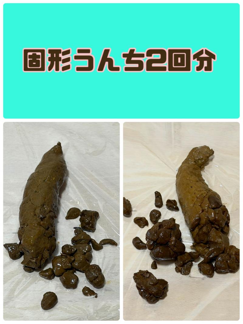 出品者名-写真