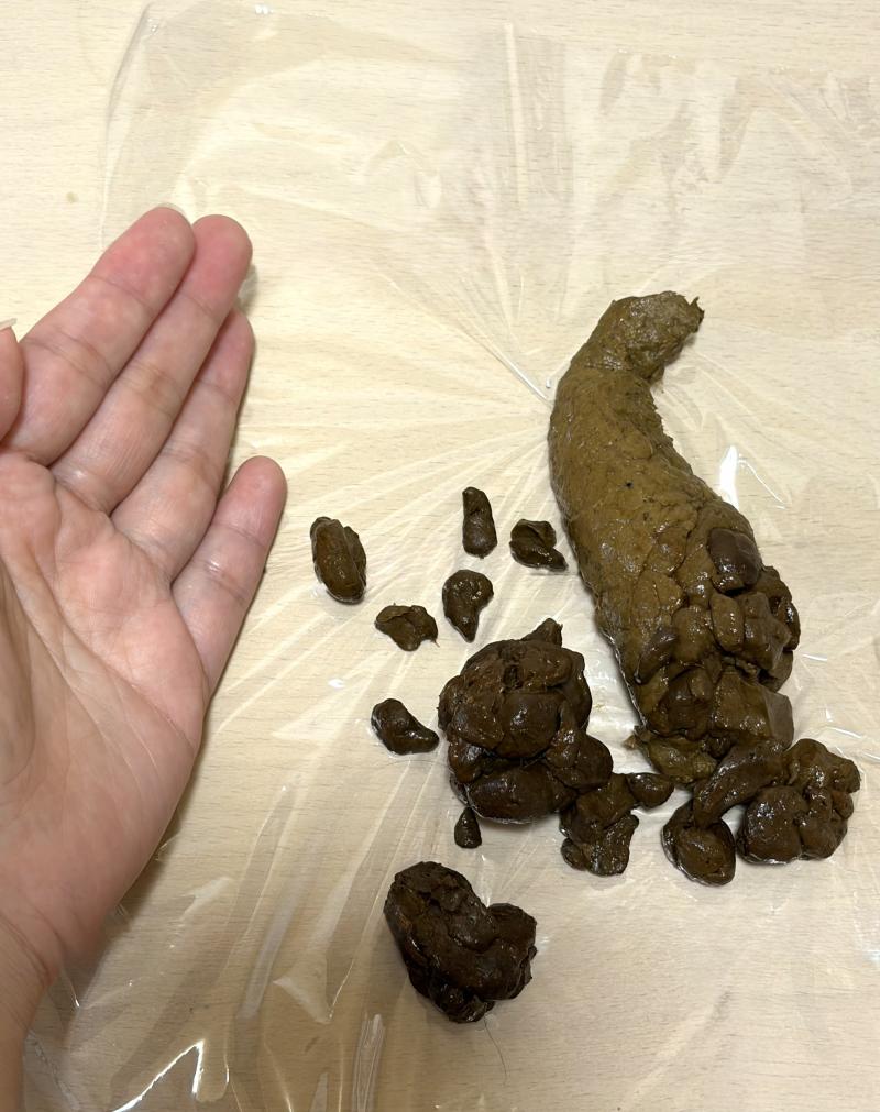 出品者名-写真-1