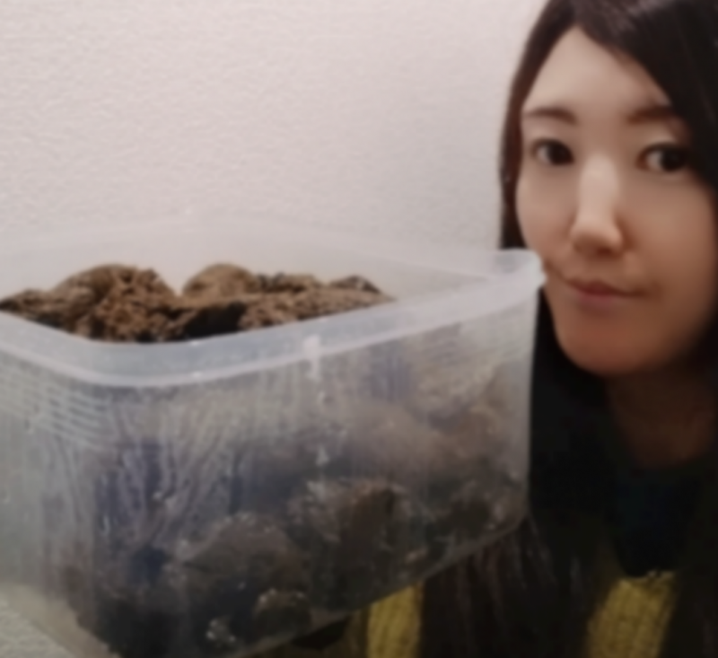 出品者名-写真-1