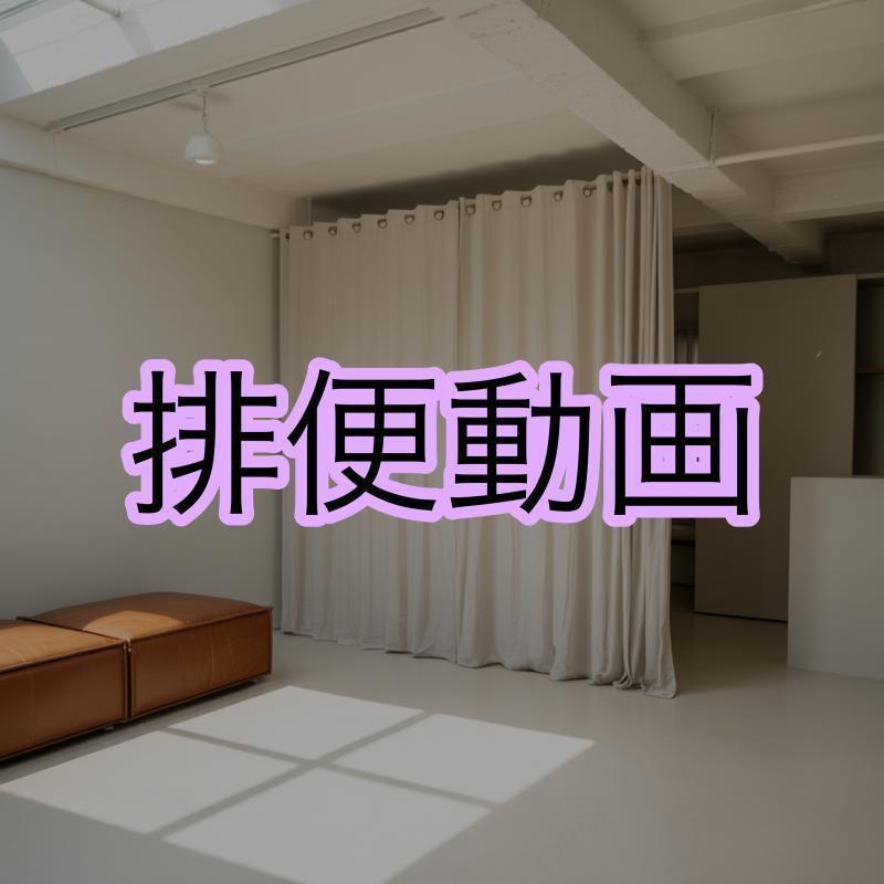 出品者名-写真-1
