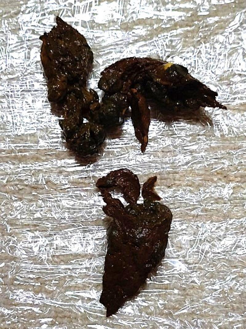 出品者名-写真-1